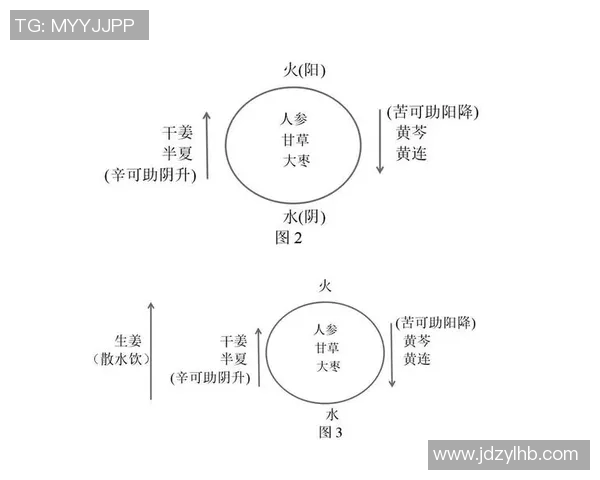 南京乒乓球队的默契配合与战术分析探讨及其对比赛胜负的影响