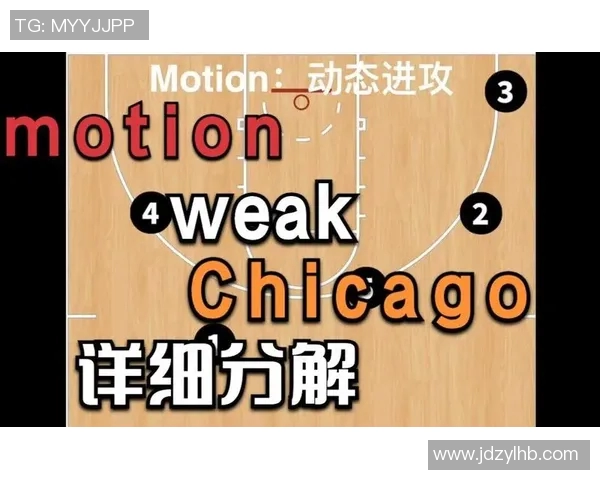 深圳排球队整体压制体系解析与战术运用探讨 深圳排球队整体压制体系解析与战术运用探讨